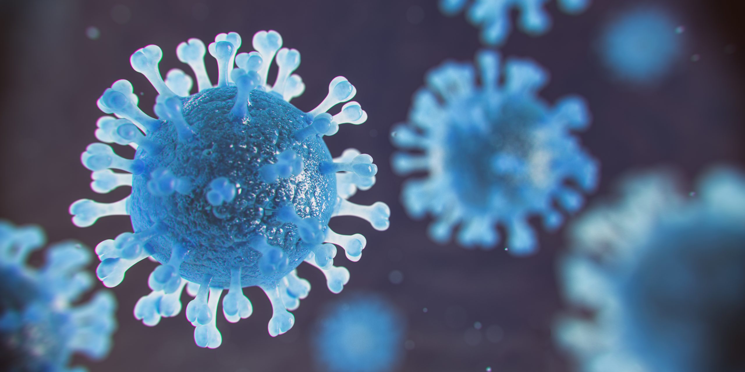 Read more about the article Coronavirus / Informationen